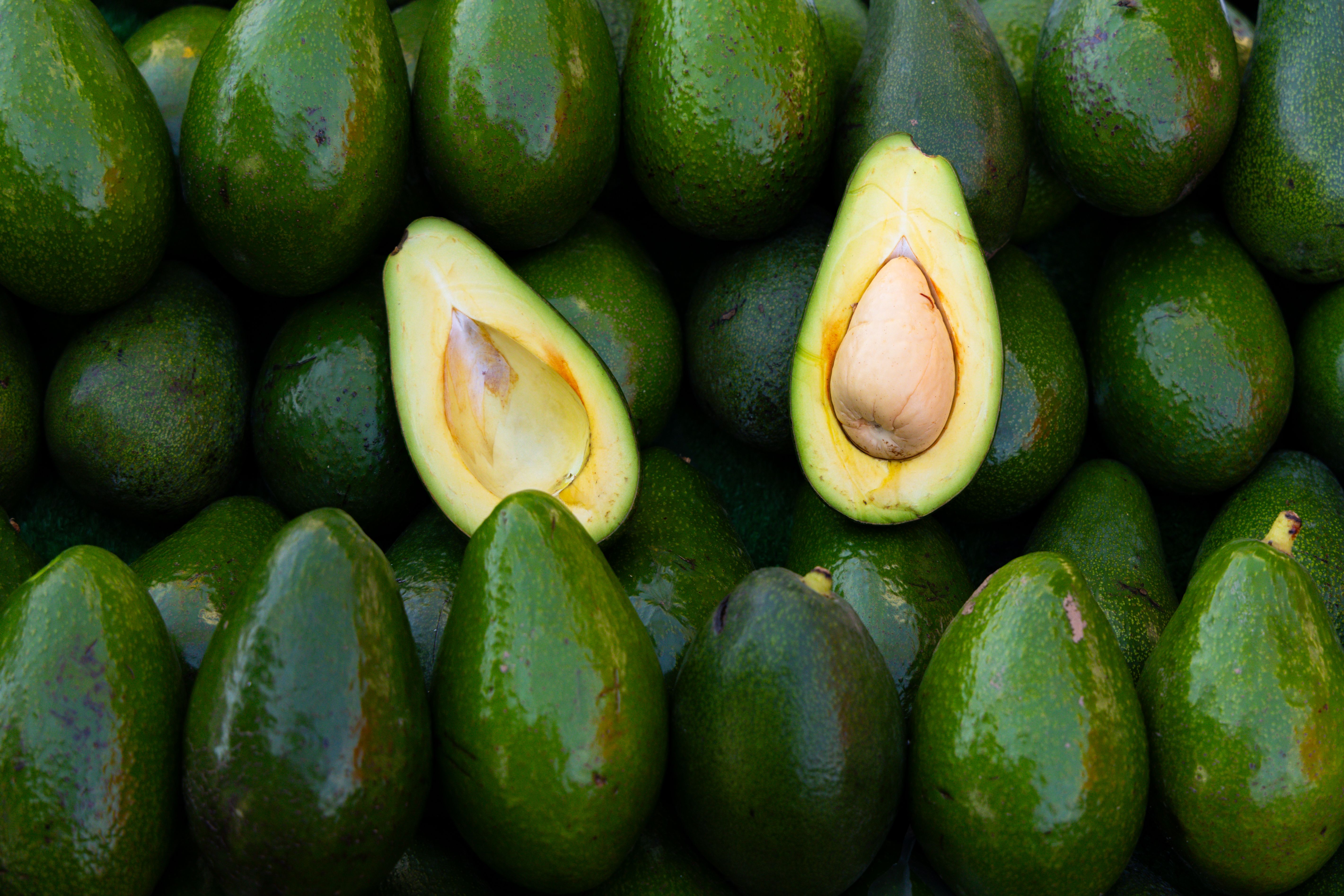 A halved avocado showing the stone