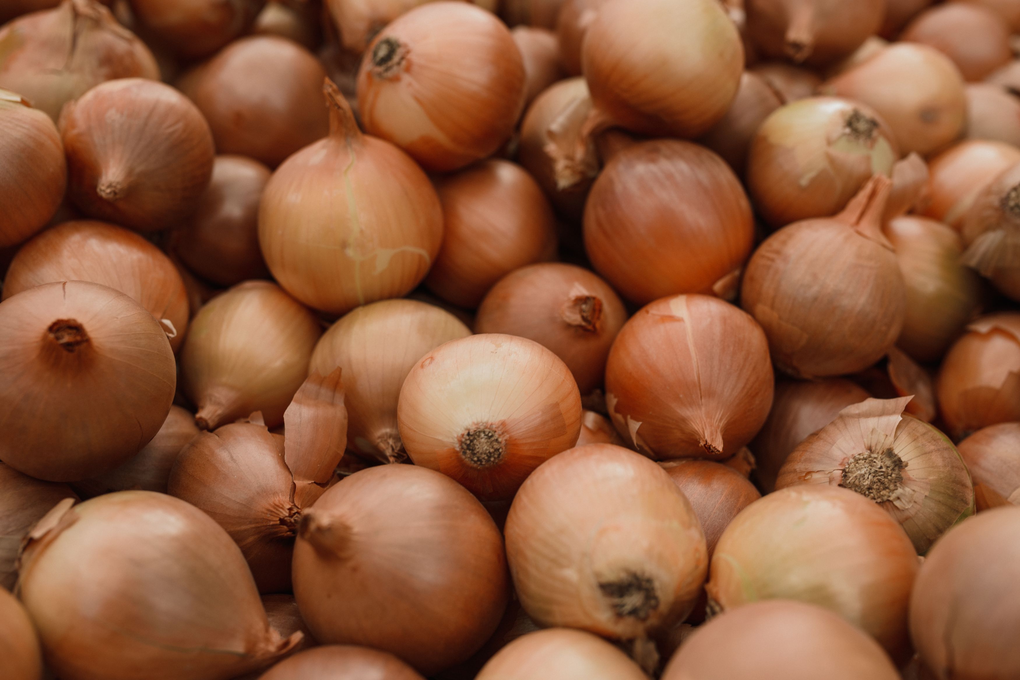 Brown and red onions