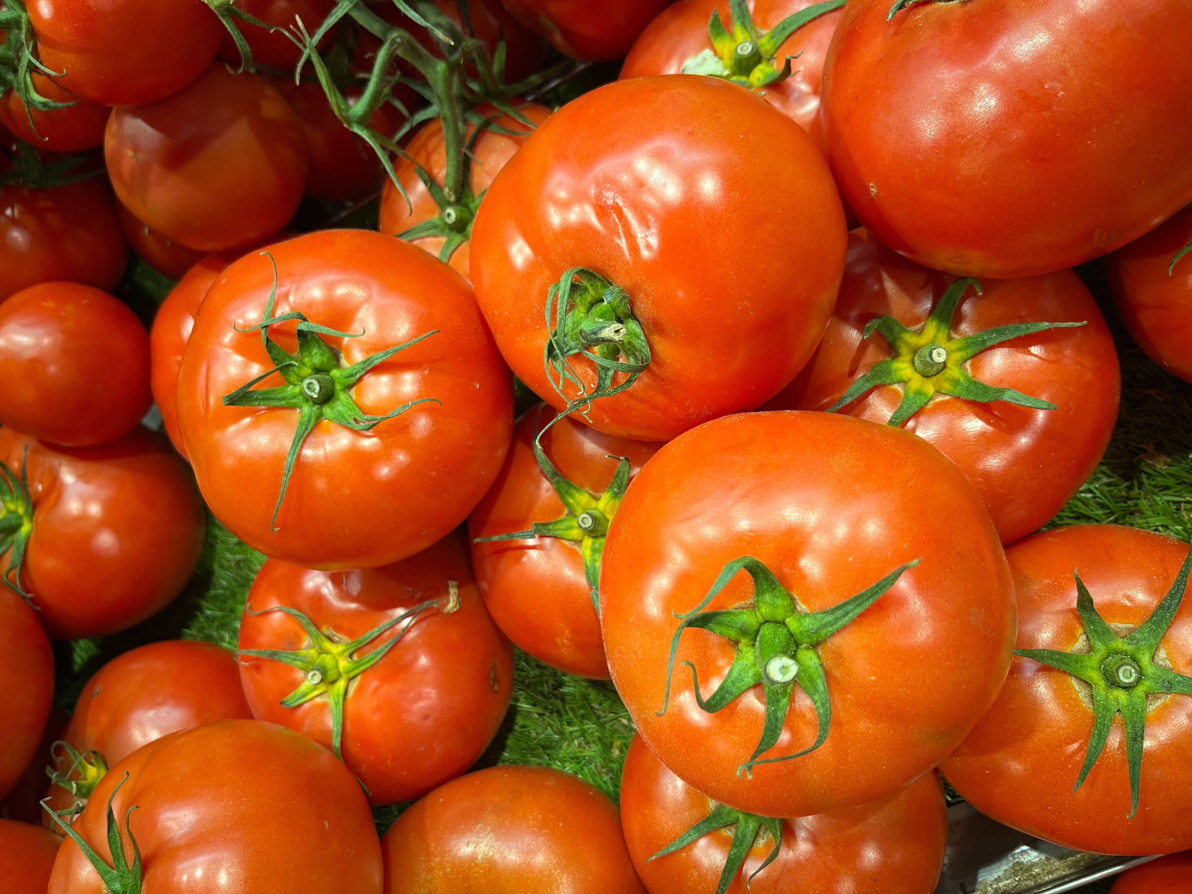 Two ripe red tomatoes